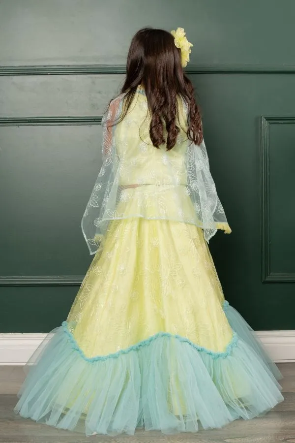 Frilled cape with heavy embroidered crop top and lahenga