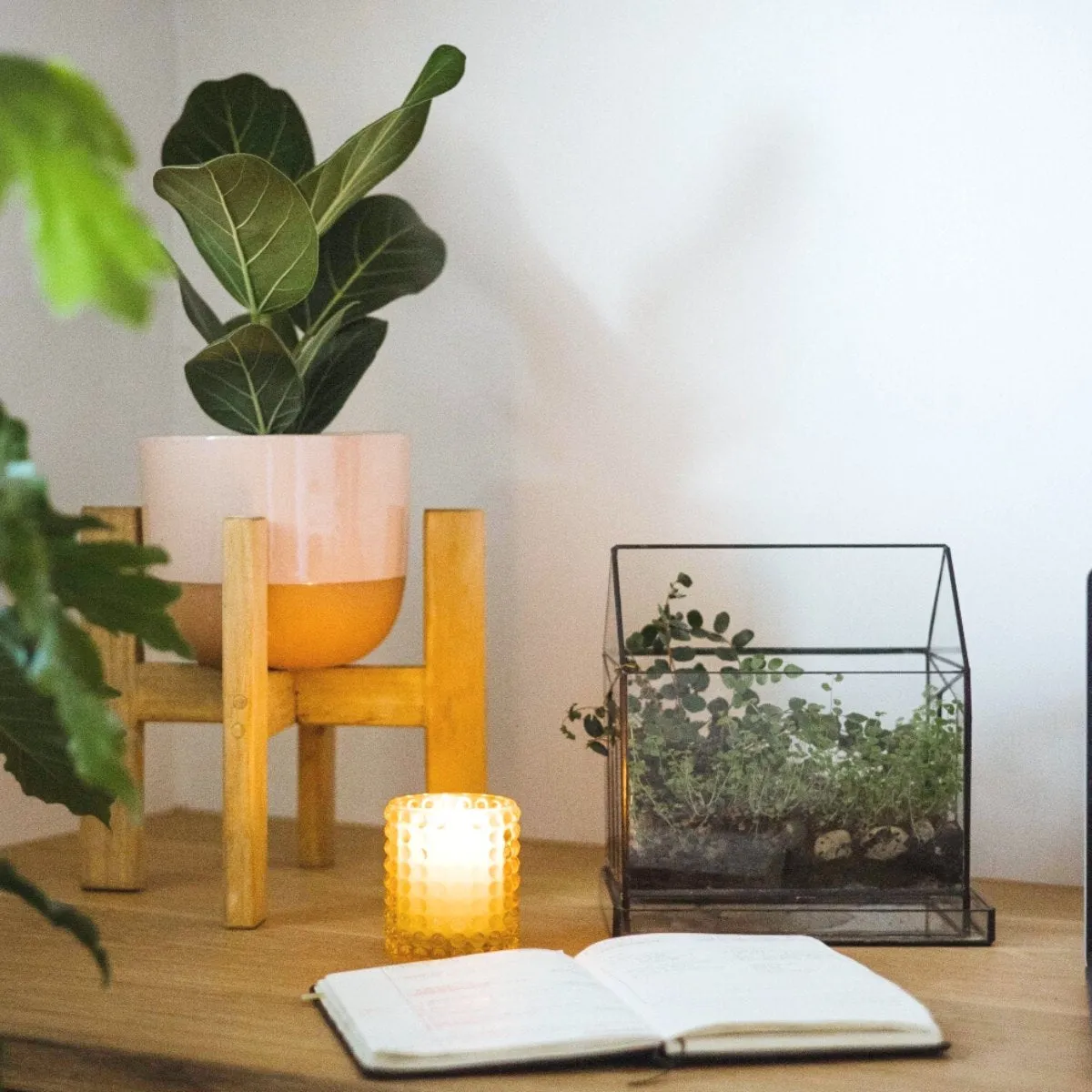 Terrarium - Deco House