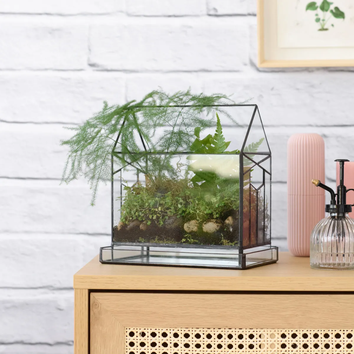 Terrarium - Deco House