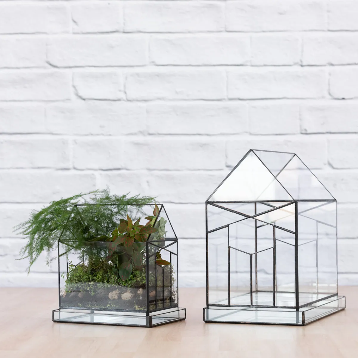 Terrarium - Deco House